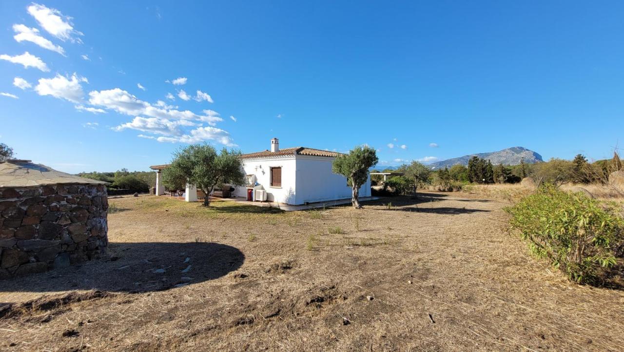 Villa Casa Mate Orosei Extérieur photo